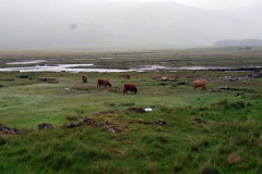 Isle-of-Mull